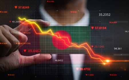 Bangladesh’s Financial Abyss: A Crisis of Corruption and Collusion in Finance Companies