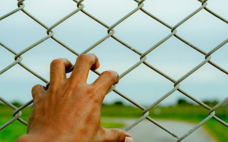 The Disguised Democracy of the Global South