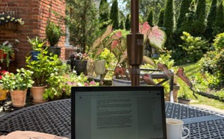 A metaphorical presence