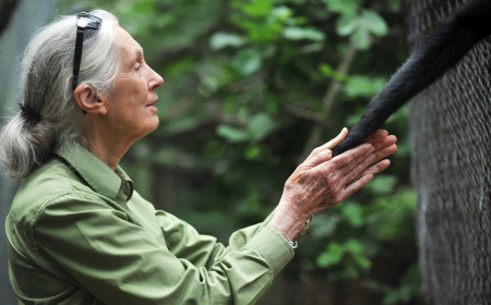 What Bangladesh Can Learn from Dr. Jane Goodall