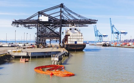 Governing by Announcement