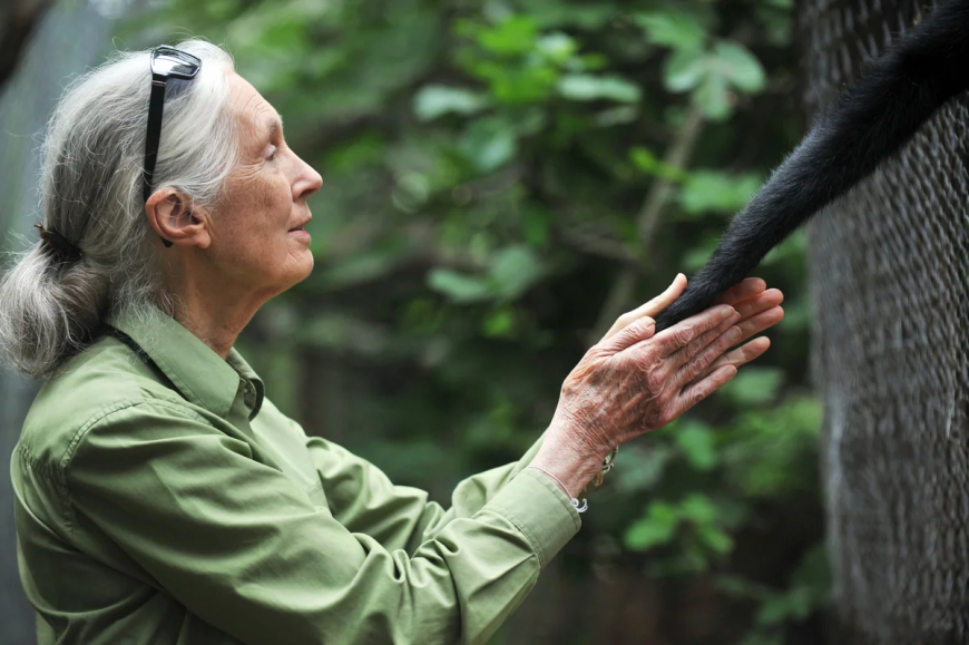 What Bangladesh Can Learn from Dr. Jane Goodall