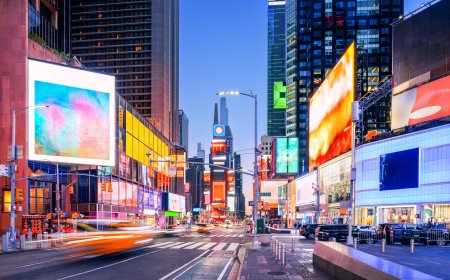 Mamdani and How He Reveals Our Broken Politics