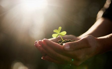 How Do We Rebuild Our Democracy?