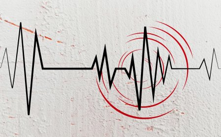 What Did the Dhaka Earthquake Mean?