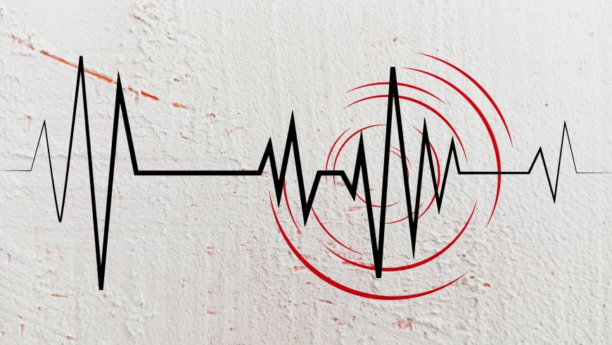 What Did the Dhaka Earthquake Mean?