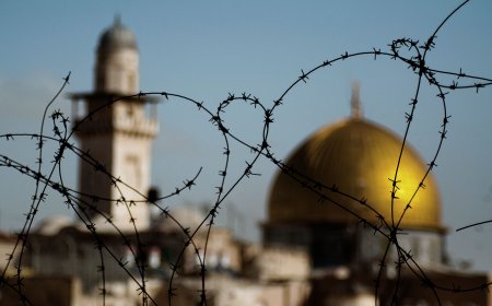 Peace Is Still an Illusion For Palestine